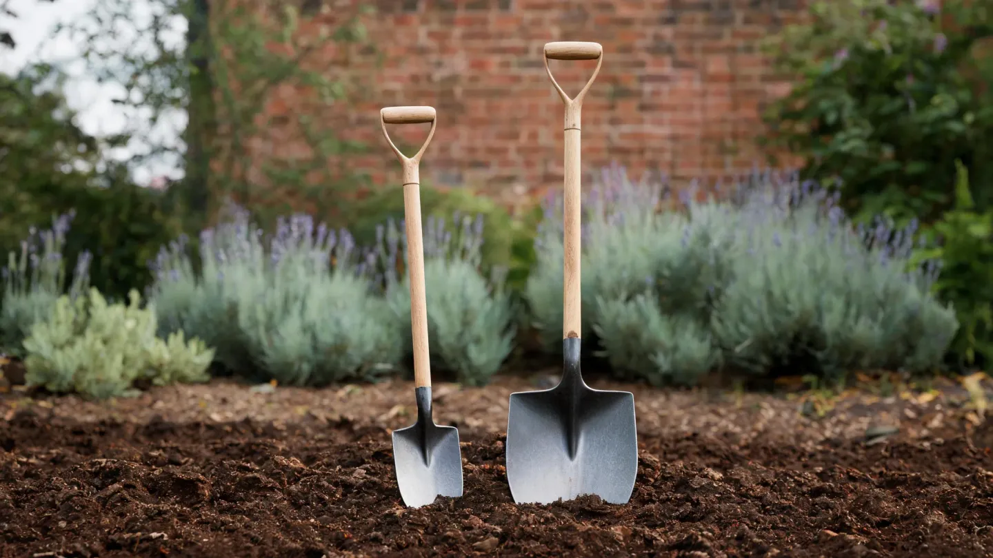 A border spade and a larger digging spade standing side by side in garden soil